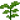草茎果园