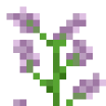 原版-丁香.png