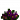 紫色花