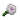 沼泽锦葵花