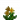 黄色花