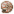 原版-鹦鹉螺壳.png