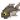 黑鱼