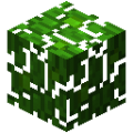 原版-丛林树叶.png