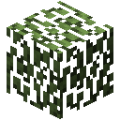原版-白桦树叶.png