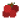 荔枝
