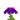 紫色神秘花