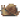 生蜗牛