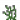 淡灰色神秘花