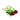 蝉
