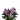 品红色花