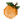 西柚