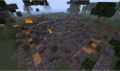 Fall Mateors4.jpg