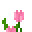 植物魔法（Botania）/粉色高神秘花
