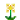 腐萤花