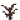 ？