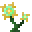 丰收节日/仙女花