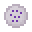 潘马斯农场（Pam's HarvestCraft）/薰衣草酥饼