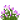 ？