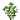 桉树树苗