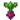 甜菜