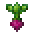 潘马斯农场（Pam's HarvestCraft）/甜菜