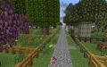 Forestry.jpg