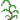 九级草药古香草