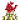 红色荧光花