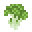 潘马斯农场（Pam's HarvestCraft）/西兰花