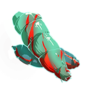 血玉竹.png