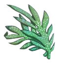 宁心草.png