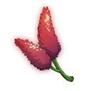 鸡冠草.png