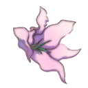 宁神花.png