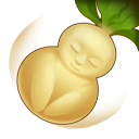 明心问道果.png