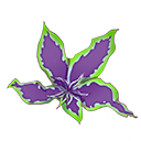阴凝草.png