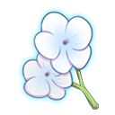 Item6217.png