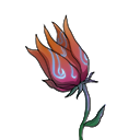 风灵花.png