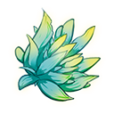月灵花.png
