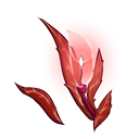 灯心草.png