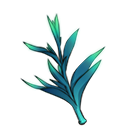 穿心莲.png