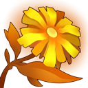 道蕴花.png