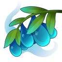 Item6508.png