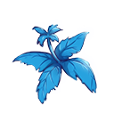 弗兰草.png