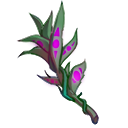 诱妖草.png