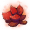 地心火芝.png
