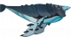 鲲.png