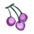 天灵果.png