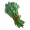 恒心草.png