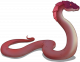 嗜焰蟒.png